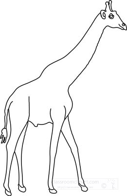 standing-giraffe-2A-outline.jpg