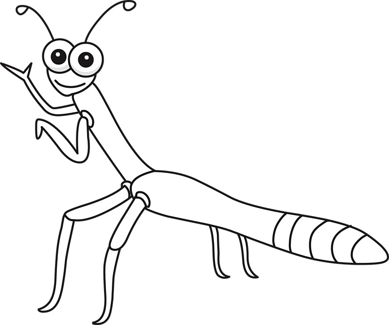 stick-insect-cartoon-outline.jpg