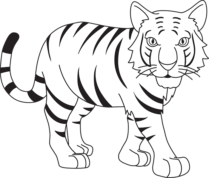 stripped-bengal-tiger-black-white-outline-clipart.jpg