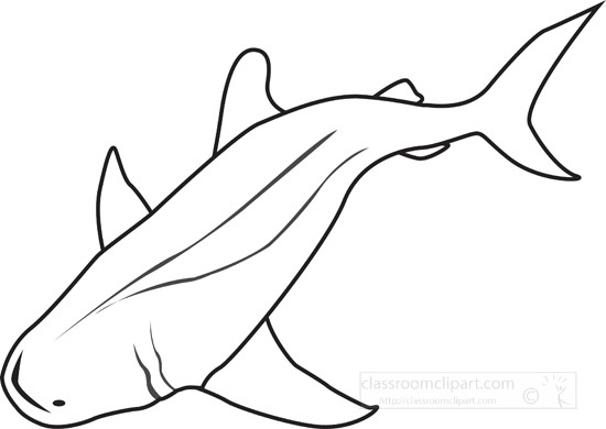 swimming-shark-outline.jpg