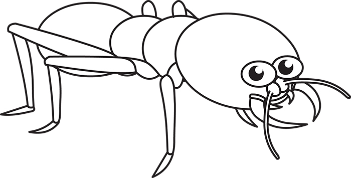 termite-insects-black-white-outline-cliprt.jpg