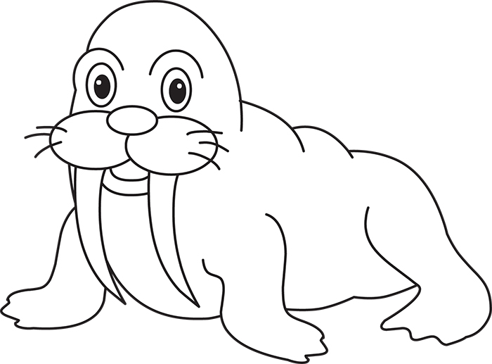 walrus-marine-life-black-white-outline-clipart.jpg
