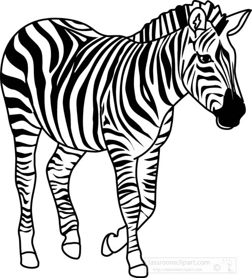 Animals Black and White Outline Clipart zebra3282