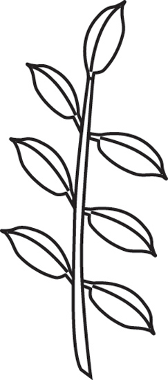 leaf-composition-odd-pinnate-outline.jpg