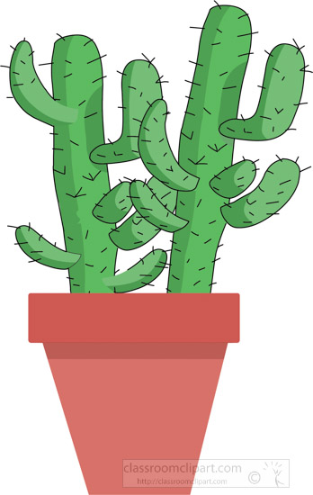 two-desert-cactus--in-planter-219024.jpg