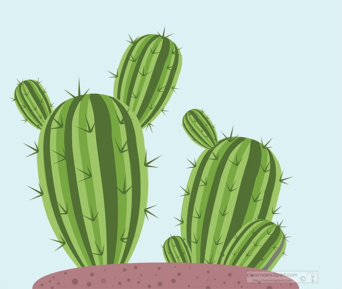 two-growing-cactus-vector-clipart.jpg