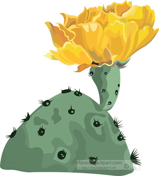 yellow-cactus-flower-clipart.jpg