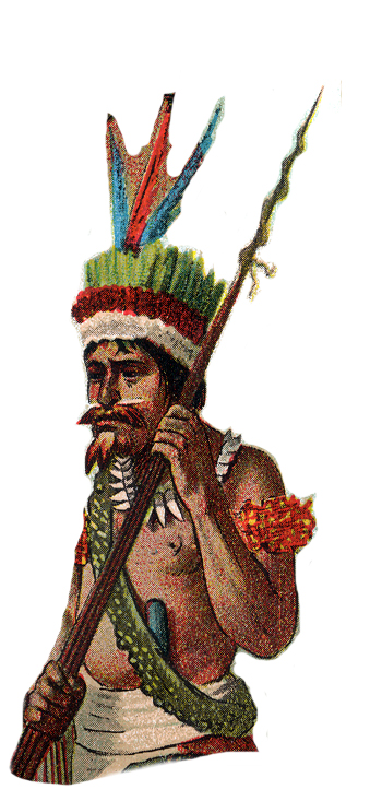 color-historical-costume-illustration-indian-204.jpg