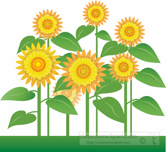 group-sunflowers-clipart-316-316.jpg