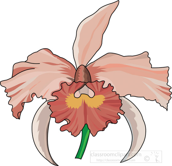orchid-clipart-3-04-0807a.jpg