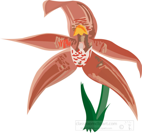 orchid-clipart-3-04-0809a.jpg