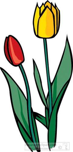 red-yellow-tulips-clipart.jpg
