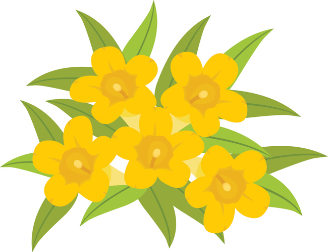 yellow-jessamine-flowers-clipart.jpg
