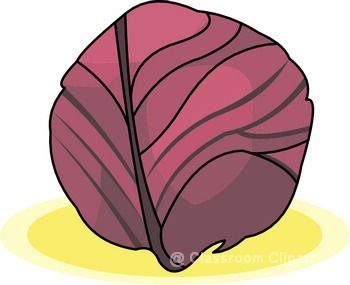 cabbage2.jpg