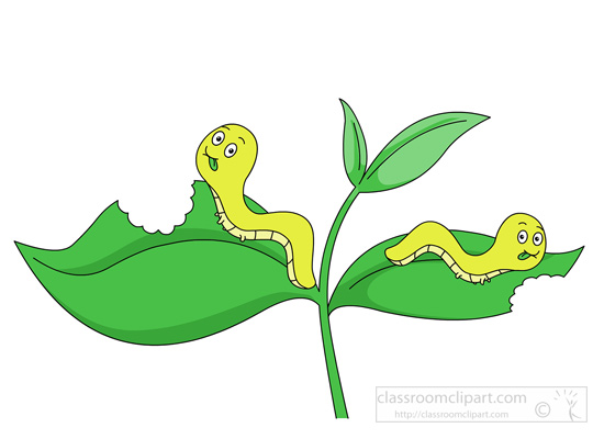 worms-eating-plant-leaf.jpg