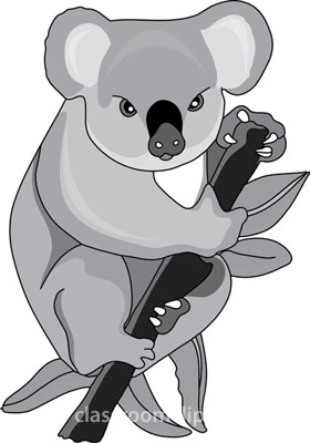 Koala_bear_holding_tree_branch_212_4_gray.jpg