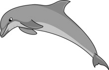 >Search Results for dolphin - Clip Art - Pictures ...