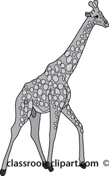 africa-giraffe-1-gray.jpg
