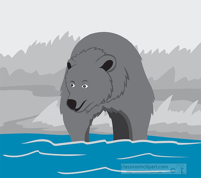 alaska-brown-bear-in-river-looking-for-salmon-fish-gray-color.jpg