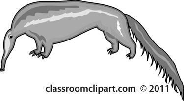 anteater-ga-11A2-gray.jpg