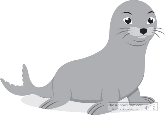 aquatic-mammal-seal-gray-clipart.jpg