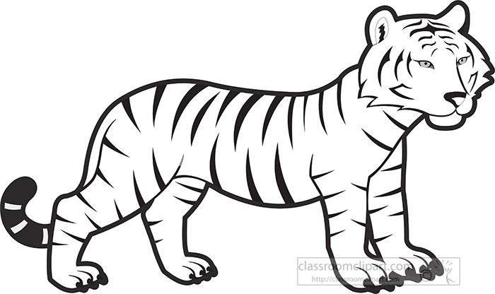 baby-bengal-tiger-black-white-outline-gray-color.jpg