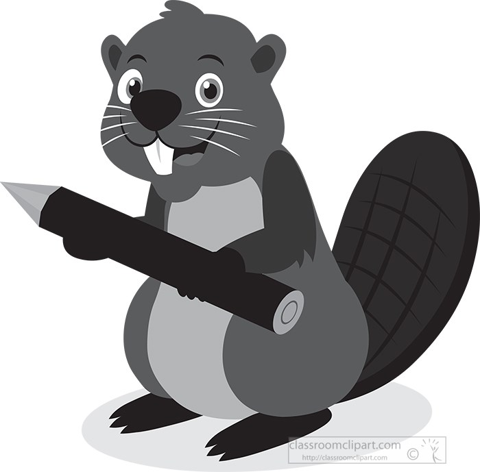 beaver-holding-pencil-looking-twig-gray-color.jpg