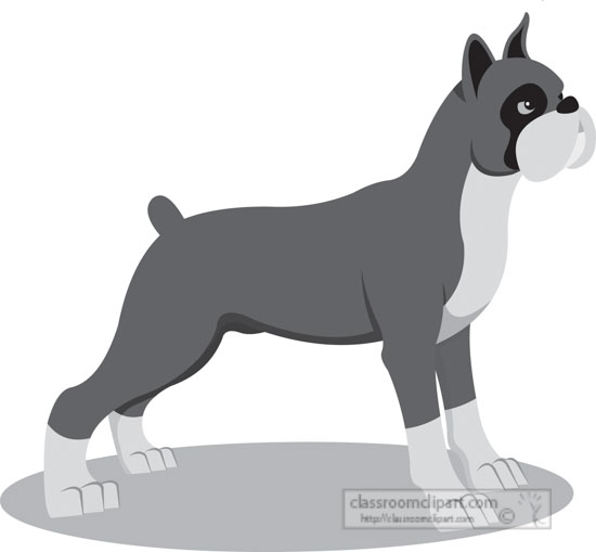 boxer-dog-gray-clipart.jpg