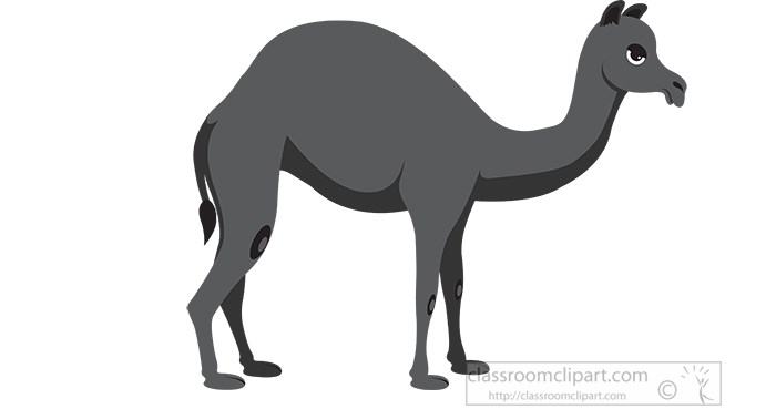 camel-gray-color-2.jpg