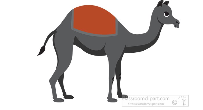 camel-gray-color-2a.jpg