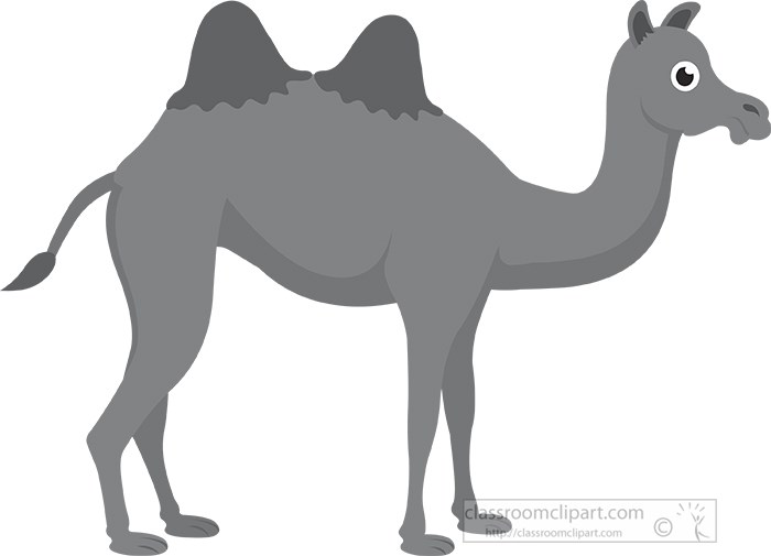 camel-new-astyle.jpg