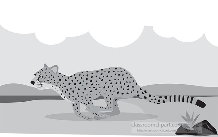 cheetah-running-in-african-savana-vector-gray-color.jpg