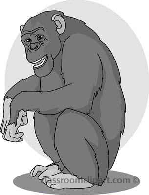 chimpanzee_sitting_04_gray.jpg