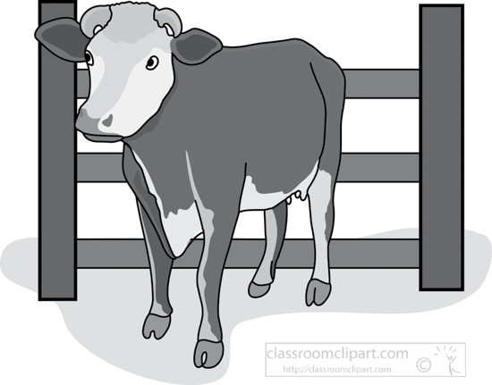 cow_near_fence_3612_gray.jpg