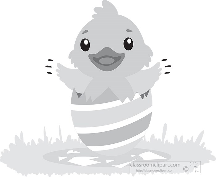 cute-little-chicken-coming-out-of-the-egg-shell-gray-color.jpg