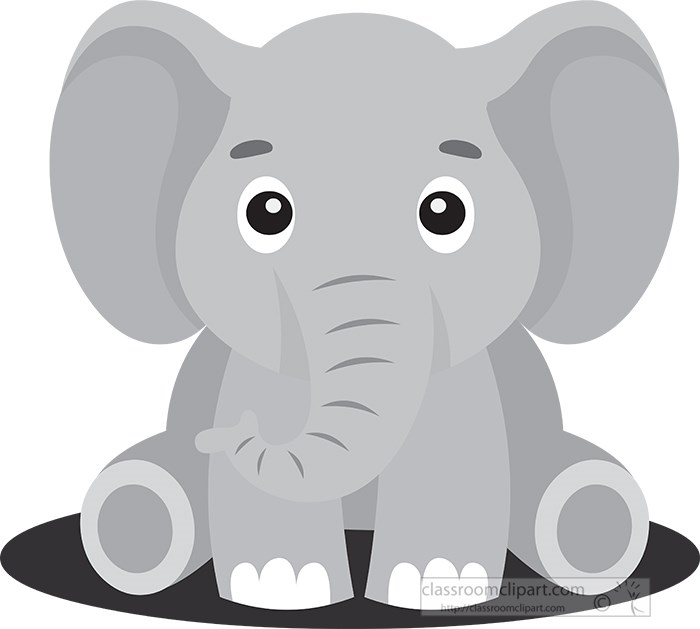 cute-young-elephant-gray-color.jpg