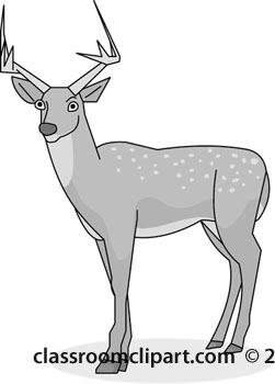 deer--gray-03-112.jpg