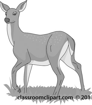 deer-02-gray.jpg