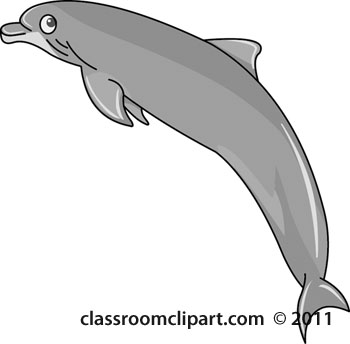 dolphin-11712-gray.jpg