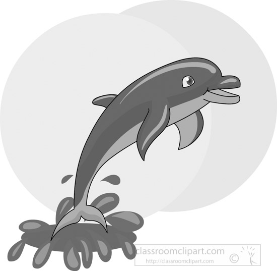 dolphin-gray-12212_01.jpg