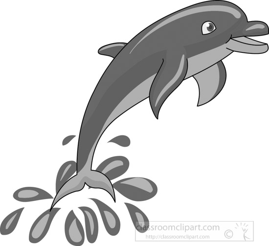 dolphin-gray-12212_01B.jpg