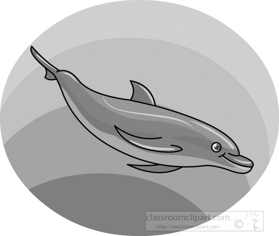 dolphin-gray-12212_02.jpg