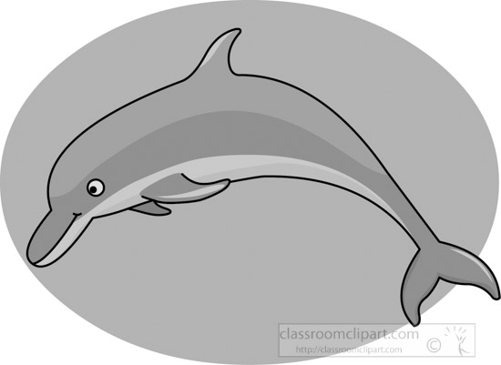 dolphin-gray-12212_03.jpg