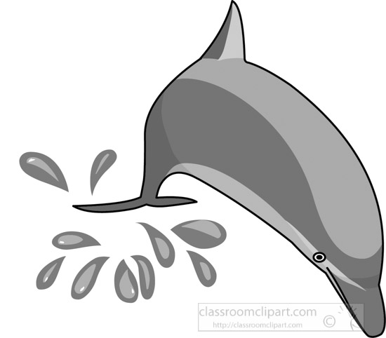 dolphin-gray-12212_05B.jpg