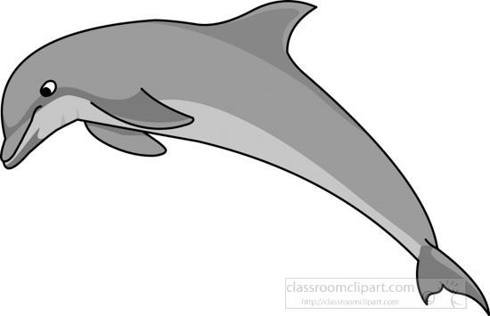 dolphin-gray-12212_07B.jpg