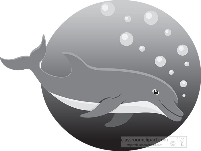dolphin-swimming-in-ocean-gray-color.jpg