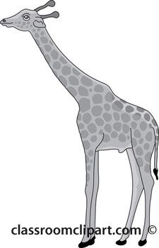 eating-giraffe-3-gray.jpg