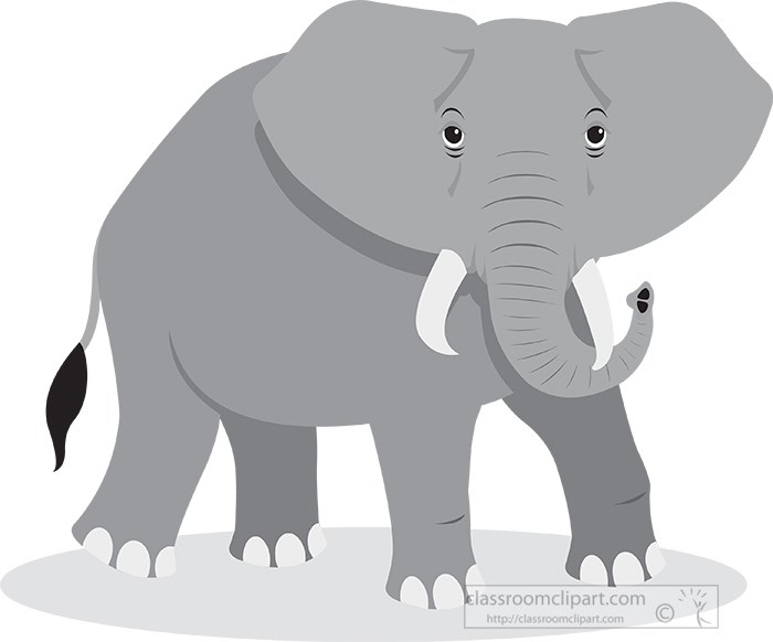 elephant-gray-color.jpg