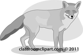 fox-animal-0608-gray.jpg