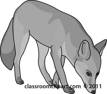 fox-animal-59-gray.jpg